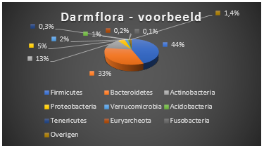 Darmflora