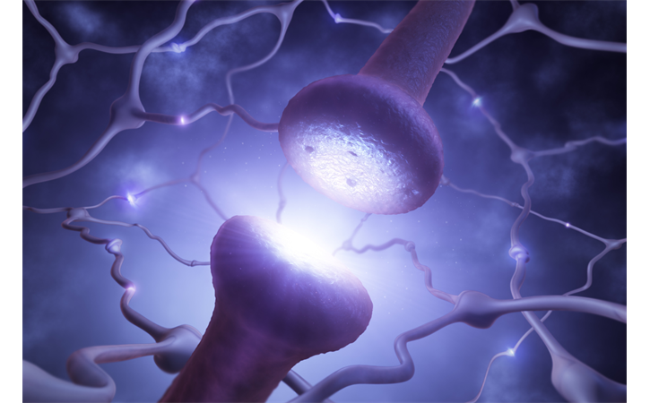 Neurotransmitter gezondheid