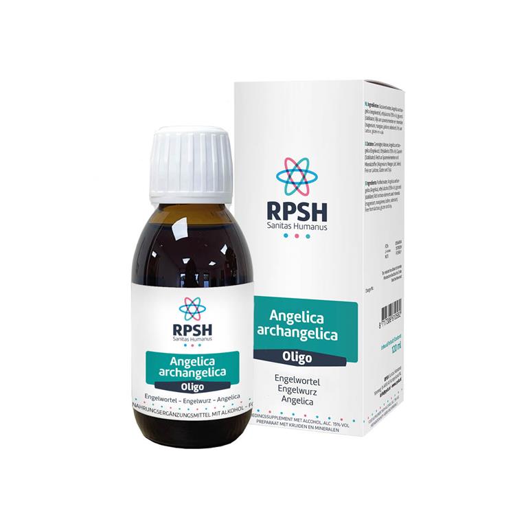 Angelica archangelica - Engelwortel